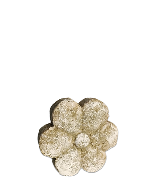 Argonian Shampoo Petal