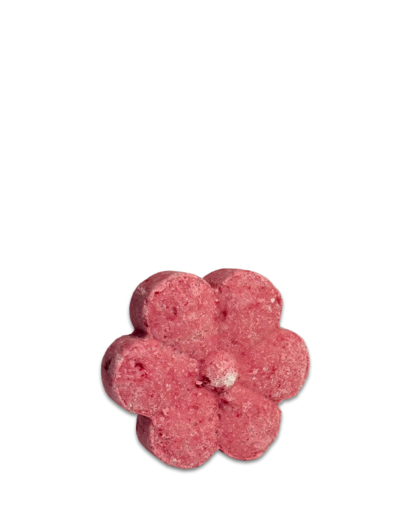 Cheer Meister Shampoo Petal & Conditioner Bar Duo