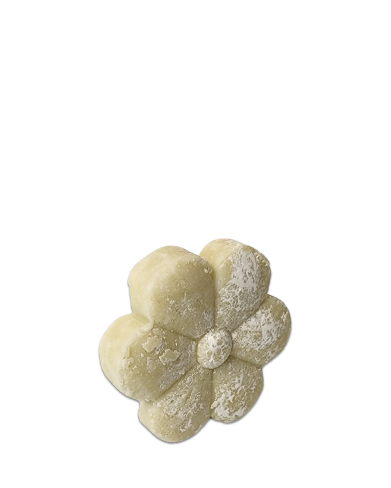 Coconut Hemp Shampoo Petal