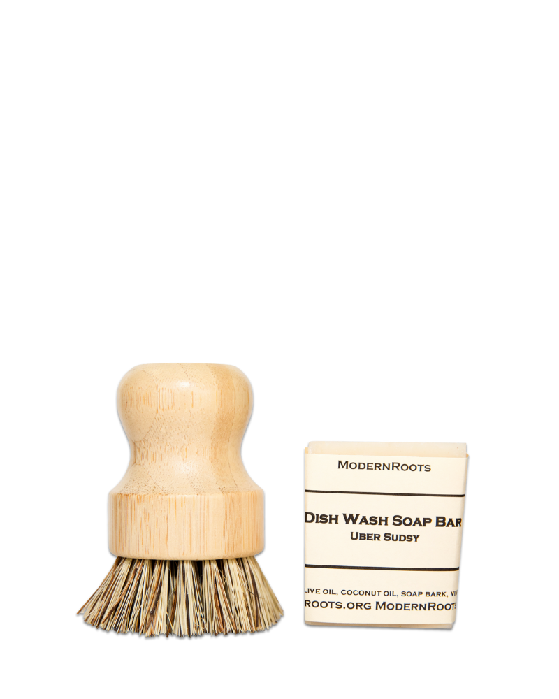 Dish Brush-Eco-Friendly