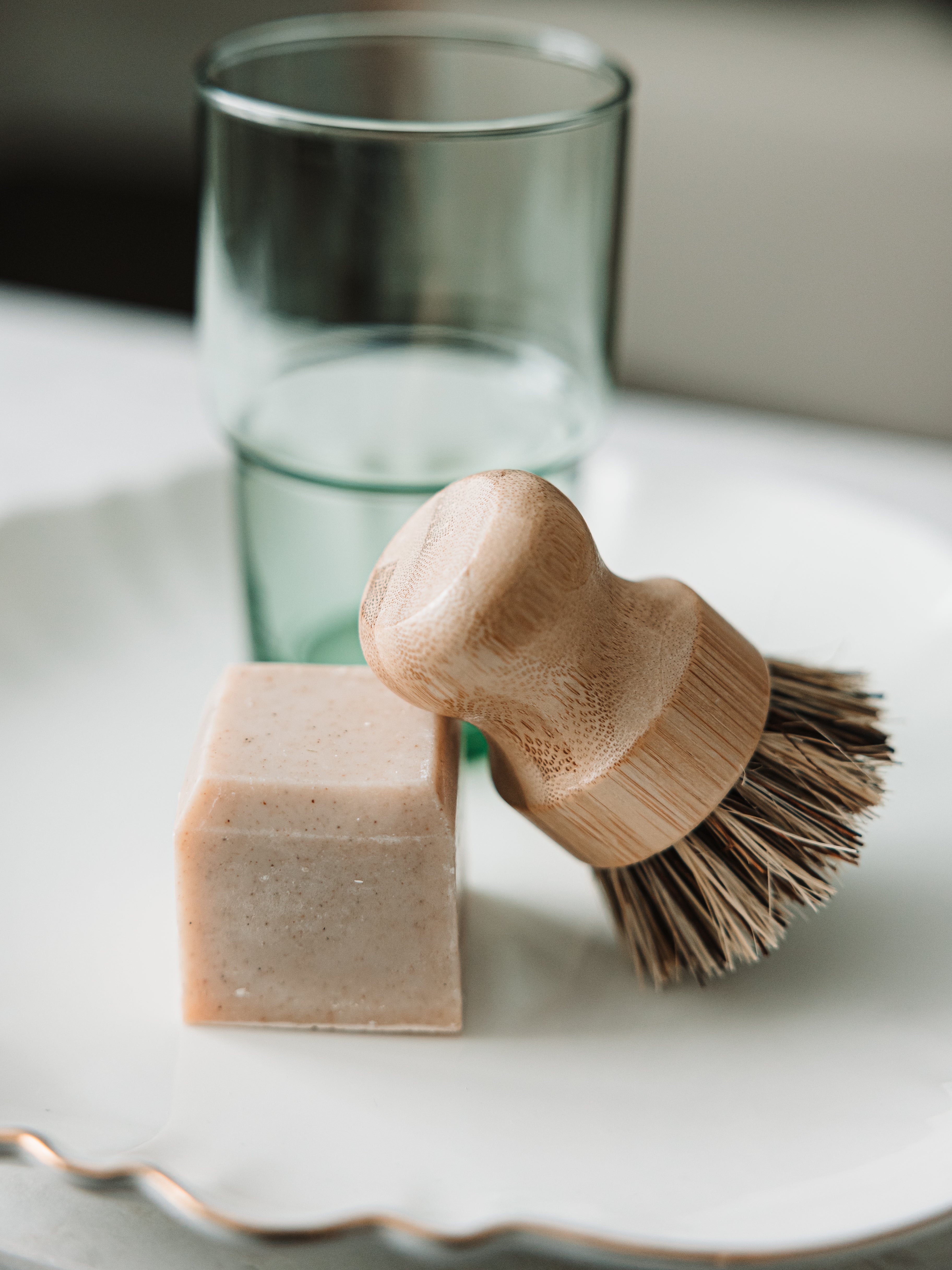 Dish Brush-Eco-Friendly