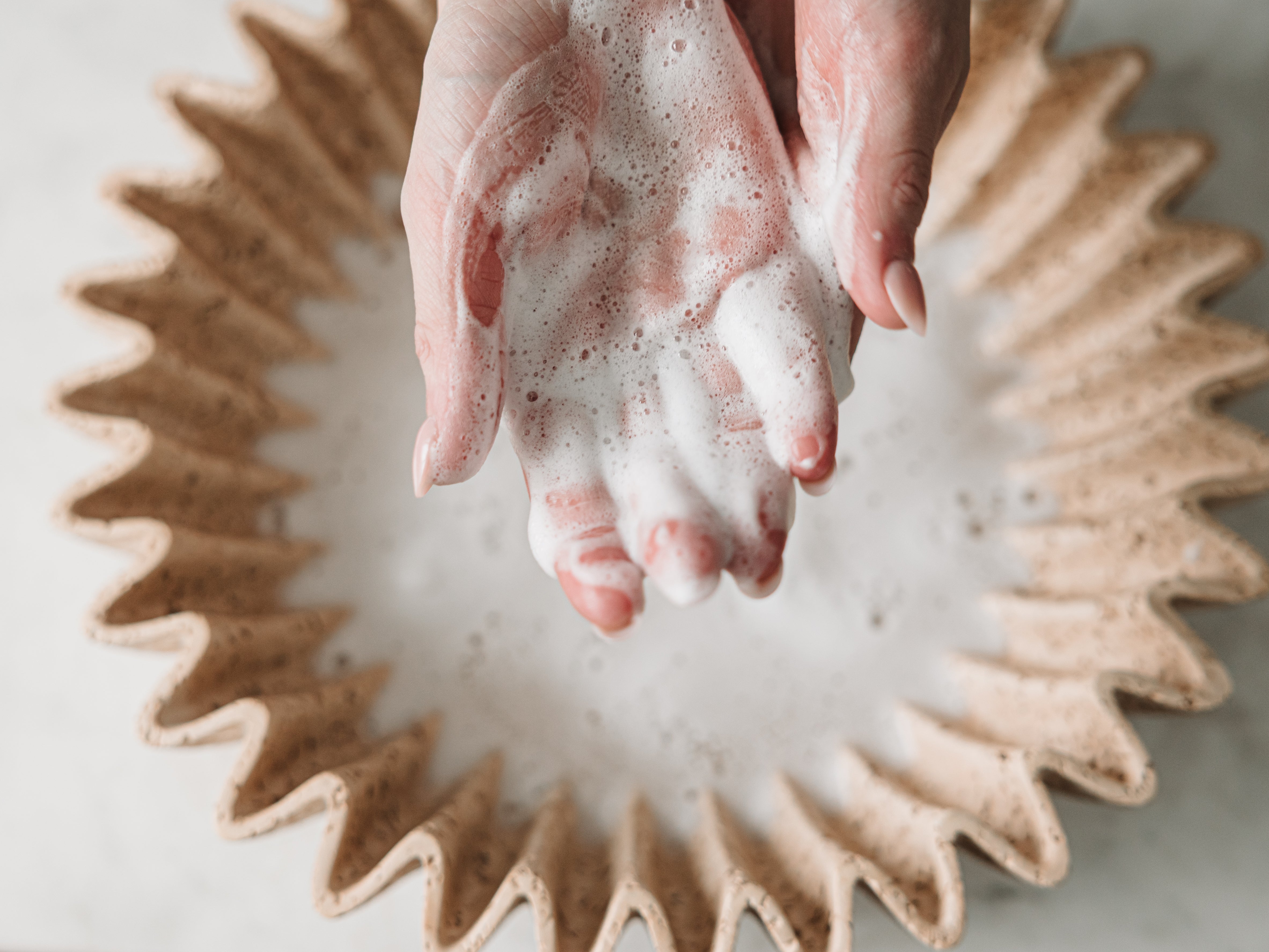 Foaming Hand Cleanser