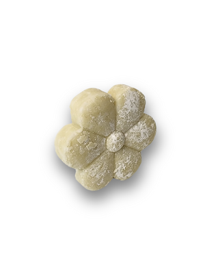 Coconut Hemp Shampoo Petal