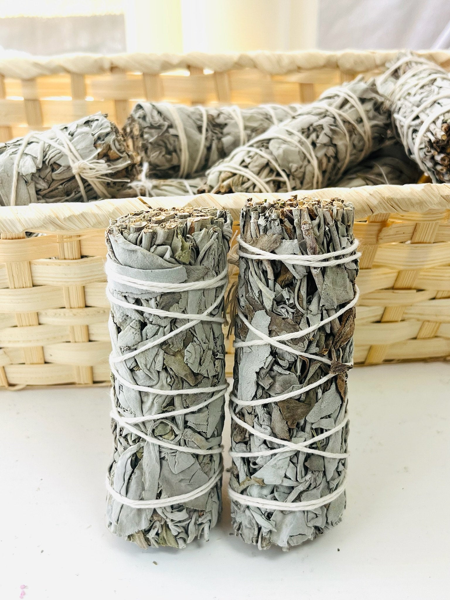 Sage Bundle